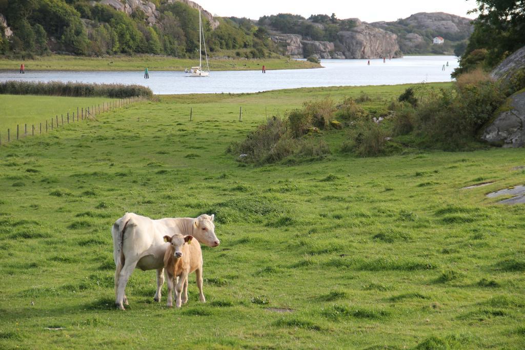 Ramsviks Overgard Albergue Hunnebostrand Exterior foto